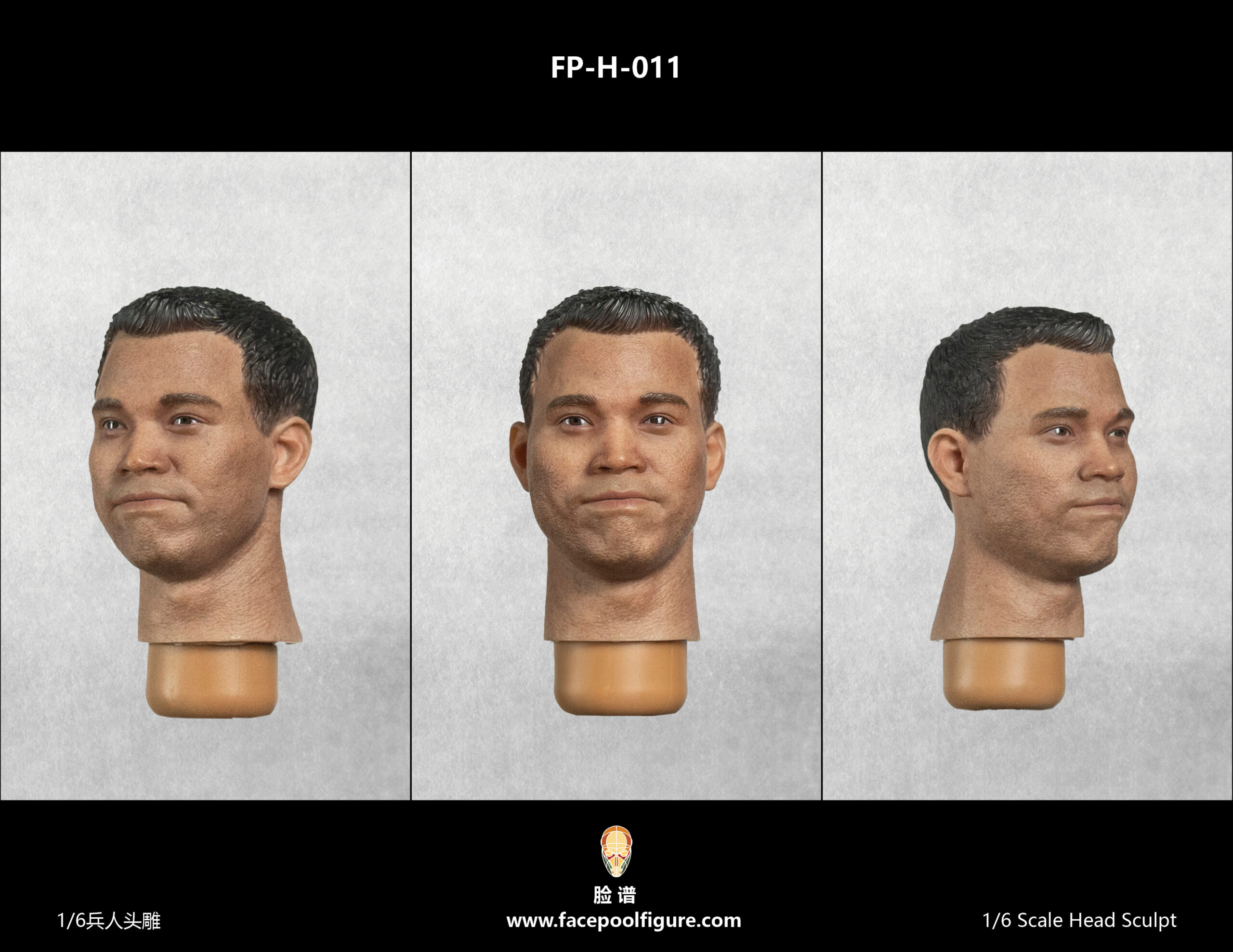 1/6 Asian Male Head Sculpt with Expression FP-H-011